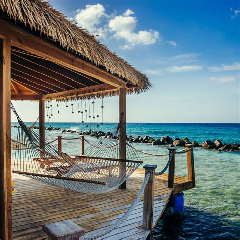 renaissance marina hotel aruba adults only|Hotels near Flamingo Beach Aruba .